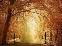 /album/fotogaleria/images-10-jpg/